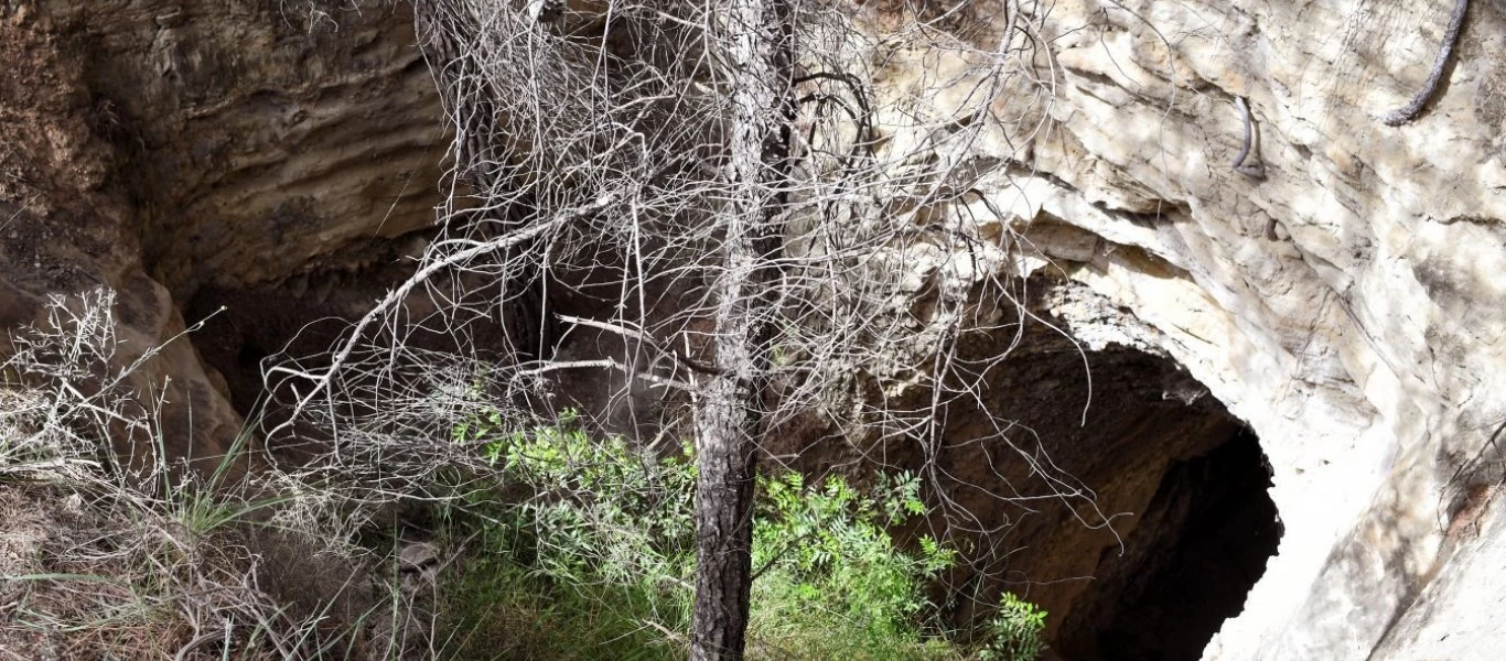 Λουτράκι: Οι δραματικές εικόνες της ανάσυρσης των σορών των 4 φίλων από την σπηλιά (βίντεο) (upd)